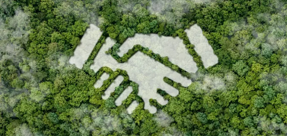 Sustainability at Neethsel HK